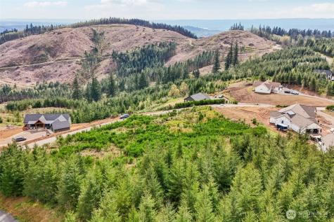 181 High Bank Lane Woodland WA 98674