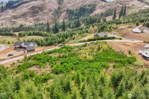 181 High Bank Lane Woodland WA 98674