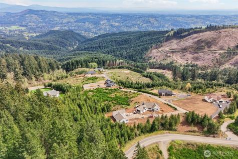 181 High Bank Lane Woodland WA 98674