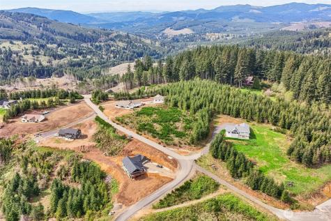 181 High Bank Lane Woodland WA 98674
