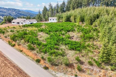 181 High Bank Lane Woodland WA 98674