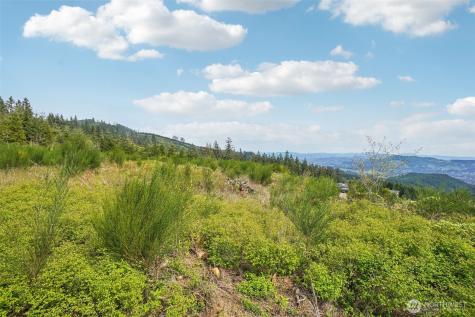 181 High Bank Lane Woodland WA 98674