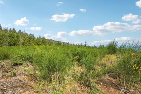 181 High Bank Lane Woodland WA 98674
