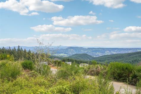 181 High Bank Lane Woodland WA 98674