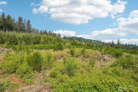 181 High Bank Lane Woodland WA 98674