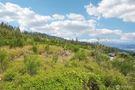 181 High Bank Lane Woodland WA 98674