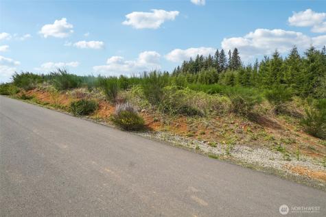 181 High Bank Lane Woodland WA 98674