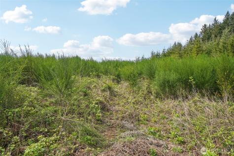 181 High Bank Lane Woodland WA 98674