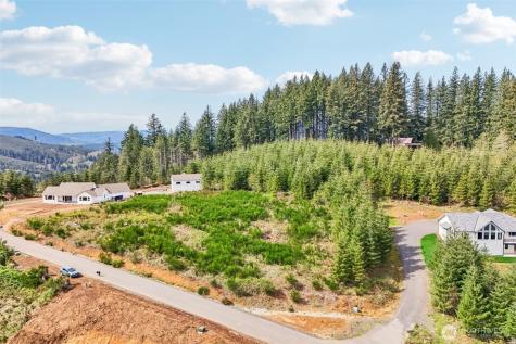181 High Bank Lane Woodland WA 98674