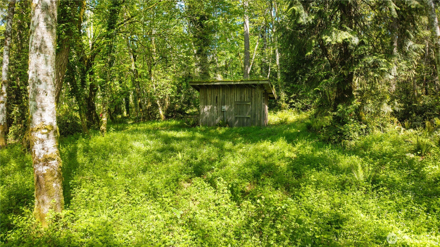 Longbranch WA 98351