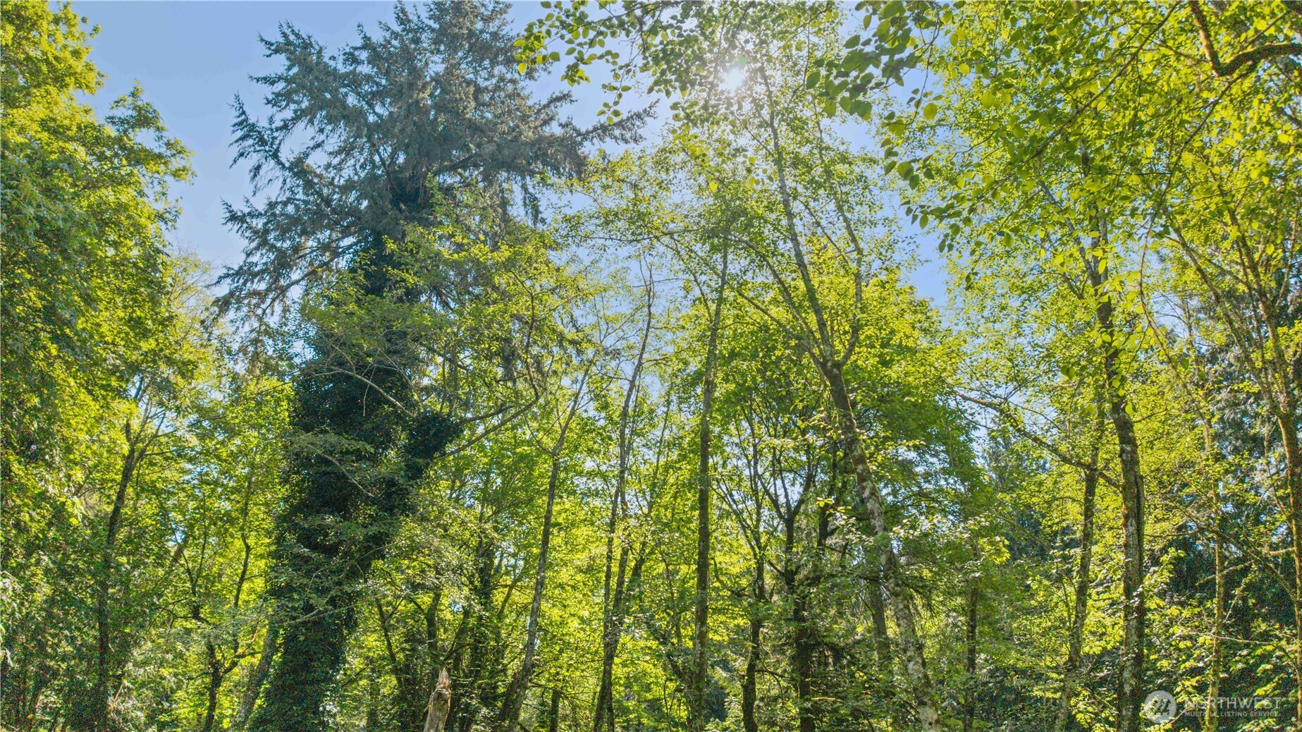 Longbranch WA 98351