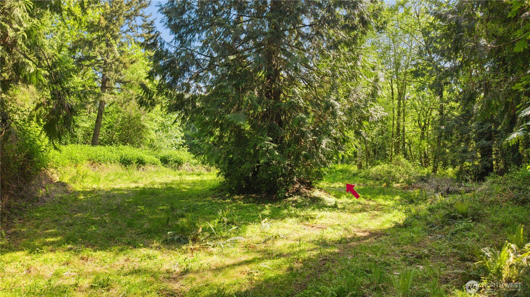 Longbranch WA 98351