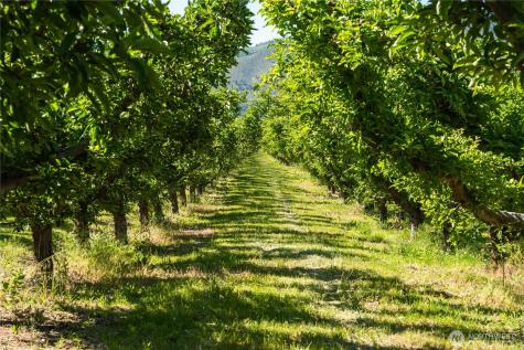 500 Wapato Lake Road Manson WA 98831