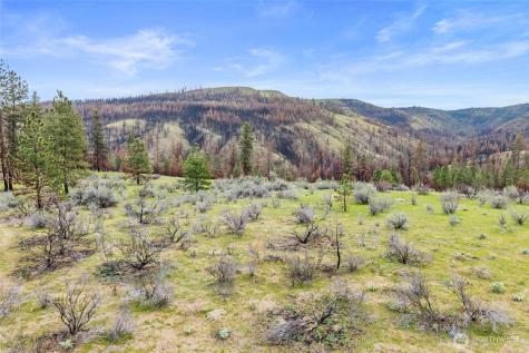 36480 Western Pines Drive N Davenport WA 99122