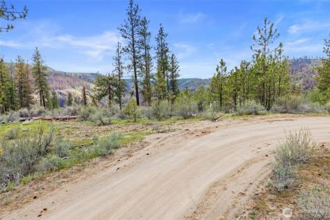 36480 Western Pines Drive N Davenport WA 99122