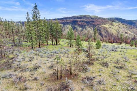 36480 Western Pines Drive N Davenport WA 99122
