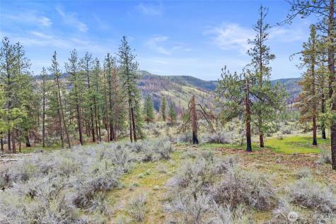 36480 Western Pines Drive N Davenport WA 99122