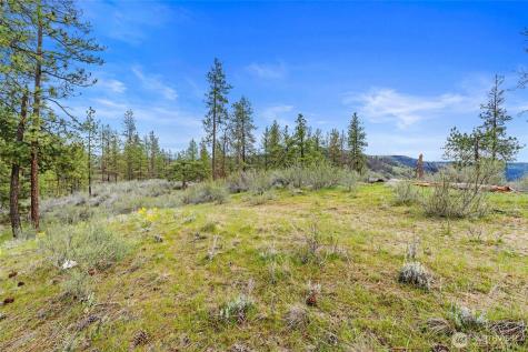 36480 Western Pines Drive N Davenport WA 99122