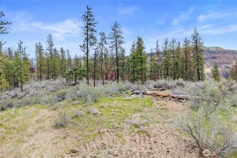 36480 Western Pines Drive N Davenport WA 99122