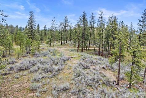 36480 Western Pines Drive N Davenport WA 99122
