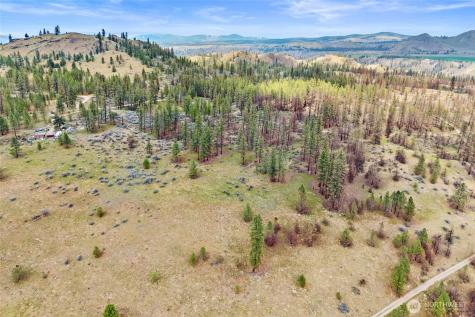 36480 Western Pines Drive N Davenport WA 99122
