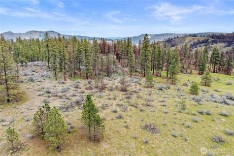 36480 Western Pines Drive N Davenport WA 99122