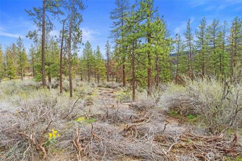 36480 Western Pines Drive N Davenport WA 99122