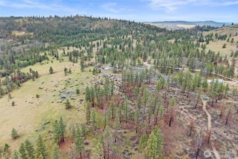 36480 Western Pines Drive N Davenport WA 99122