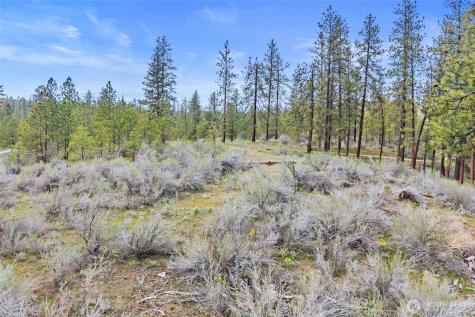 36480 Western Pines Drive N Davenport WA 99122