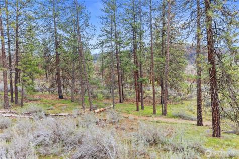 36480 Western Pines Drive N Davenport WA 99122