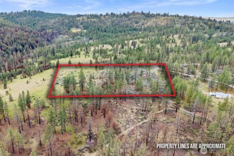 36480 Western Pines Drive N Davenport WA 99122
