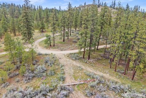 36480 Western Pines Drive N Davenport WA 99122