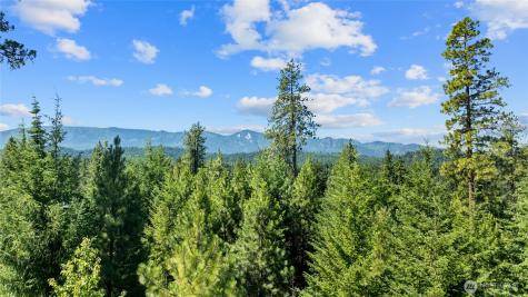 3690 Swiftwater Drive Cle Elum WA 98922