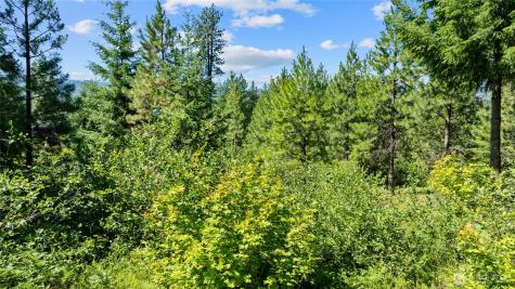 3690 Swiftwater Drive Cle Elum WA 98922
