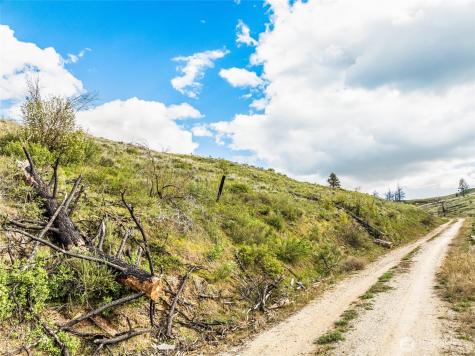 10 Lot 9 Chelan Hills Acres Road Orondo WA 98843