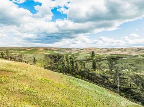 10 Lot 9 Chelan Hills Acres Road Orondo WA 98843