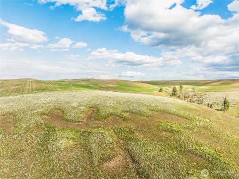 10 Lot 9 Chelan Hills Acres Road Orondo WA 98843