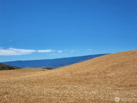2025 Cougar Ridge Road East Wenatchee WA 98802