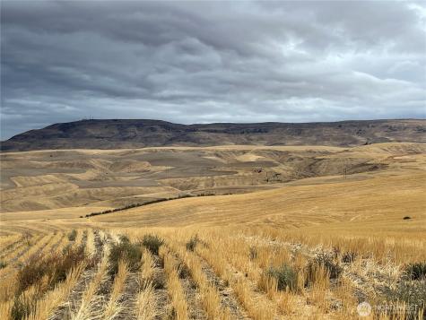 2025 Cougar Ridge Road East Wenatchee WA 98802