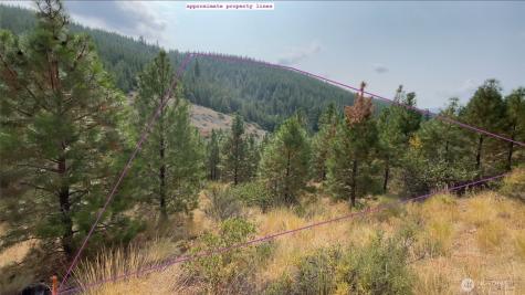 0 Potato Creek A3 Entiat WA 98822