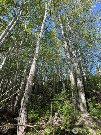 0 Potato Creek A3 Entiat WA 98822