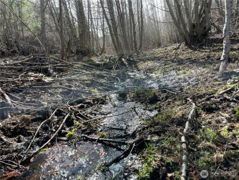 0 Potato Creek A3 Entiat WA 98822