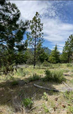 0 Potato Creek A3 Entiat WA 98822
