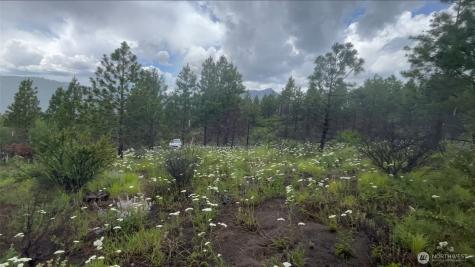 0 Potato Creek A3 Entiat WA 98822
