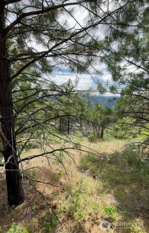 0 Potato Creek A3 Entiat WA 98822