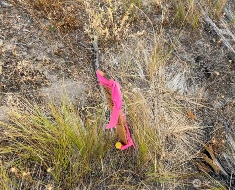 0 Potato Creek A3 Entiat WA 98822