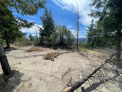 0 Potato Creek A3 Entiat WA 98822