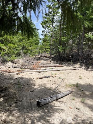 0 Potato Creek A3 Entiat WA 98822