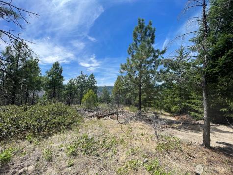 0 Potato Creek A3 Entiat WA 98822