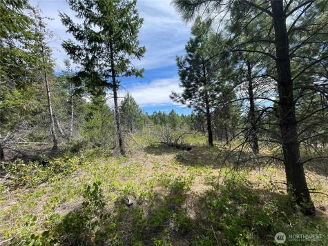 0 Potato Creek A3 Entiat WA 98822